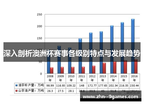 深入剖析澳洲杯赛事各级别特点与发展趋势
